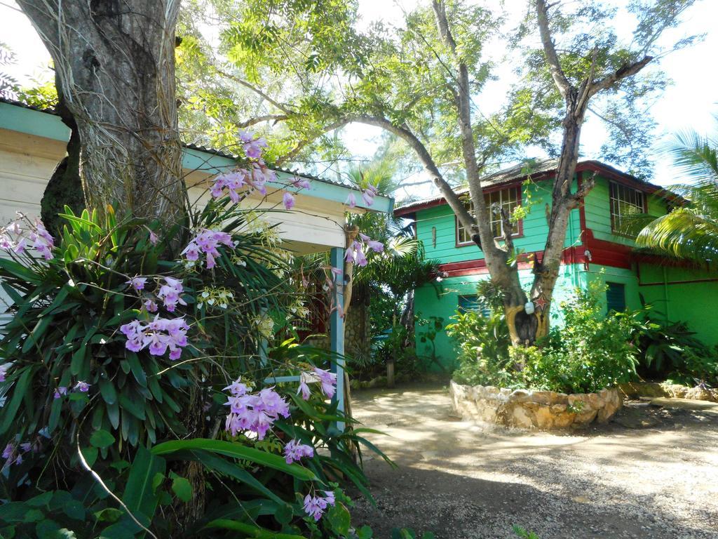 Banana Shout Resort Negril Exterior foto